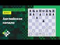Английское начало #1. Классическая система: 1.c4 e5 2.g3 c6 3.Nf3 // Александр Халифман ♟️ Дебют