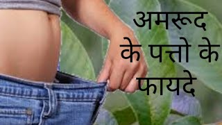 Amrut ke patte ke fayde Hindi |अमरुद के पतौ के फायदे|amrut ke patte | amrut ke patte goon Hindi me