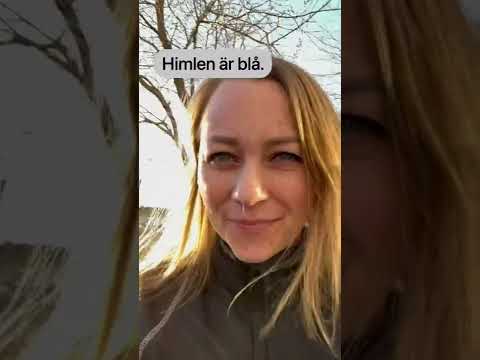 Video: Svetlana Malkovas advokat berättade i vilket fall Makeeva måste betala underhållsbidrag för sin man