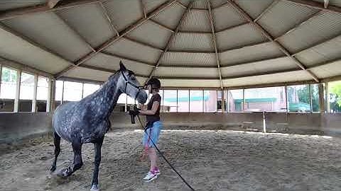 250718 Hulla vliegenspray