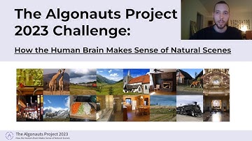 The Algonauts Project 2023: Challenge & development kit tutorial walk-through
