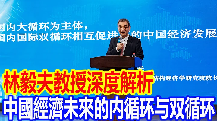 林毅夫教授深入解析，中國經濟未來的「內循環」與「雙循環」 - 天天要聞