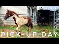 Pick-Up Day | 2019 Mustang TIP Challenge