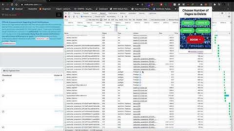 XSS Hunter Bulk Delete Chrome Extension Demo.