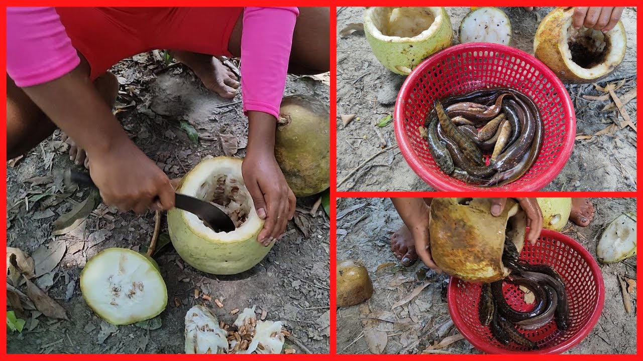 Fishing Video With Gourd In Village River Small Fish Catching Method