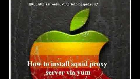 Linux Squid Proxy Server Installation and Basic Configuration (Centos 5.5) (Hafiz Haider)
