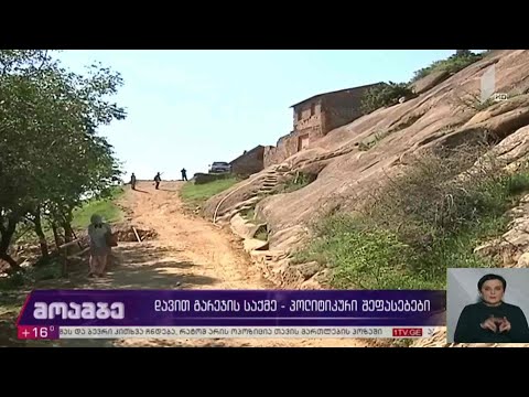 დავით გარეჯის საქმე - პოლიტიკური შეფასებები