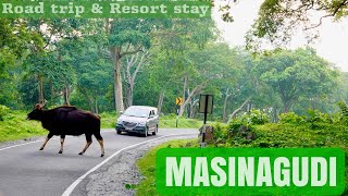 Masinagudi Road trip & resort stay | മസിനഗുഡിയിലെ കാഴ്ച്ചകൾ | River valley resort Masinagudi