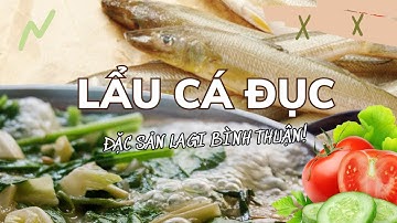 KHÁM PHÁ ĐẶC SẢN LẨU CÁ ĐỤC LAGI BÌNH THUẬN