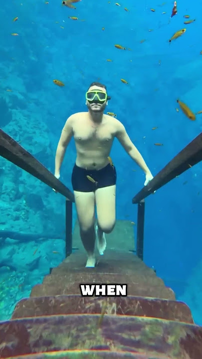 Is This Real or a Dream? π€―