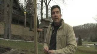 How to build a simple backyard bird feeder with Matt Fox of HGTV This video teaches how to build a backyard birdfeeder using simple tools and pretreated lumber. This is a project that anyone who