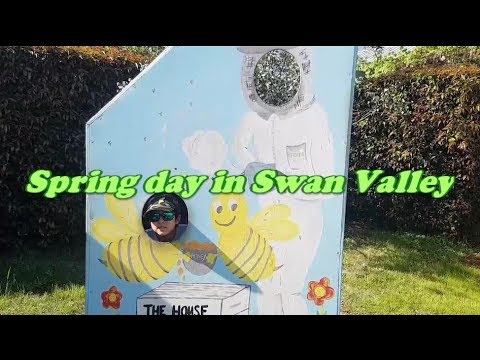 Spring Day in Swan Valley, Western Australia || Arina Ky