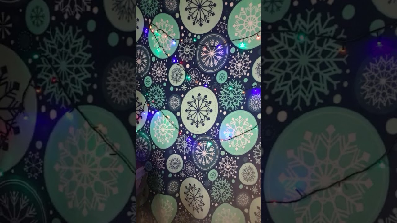 элджей птичка летит домой