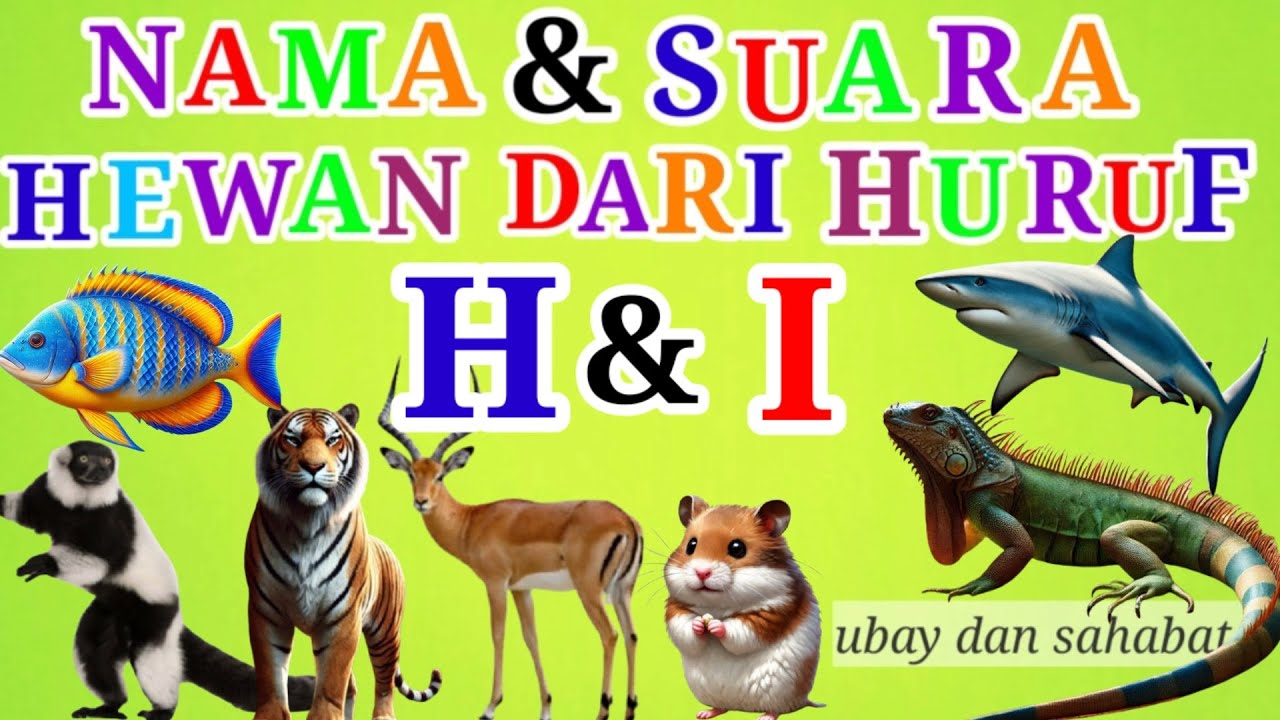 Belajar Mengenal Nama &amp; Suara Hewan dari Huruf H dan I ||Learn To ...