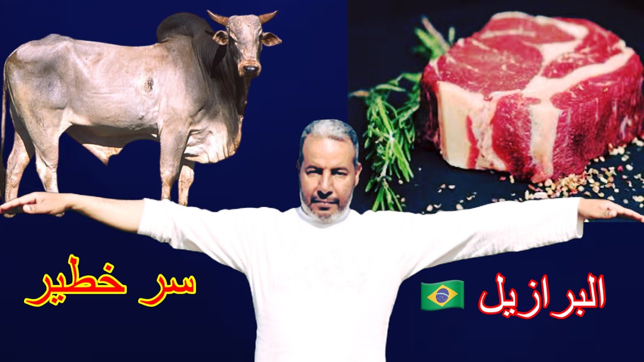 لهذا السبب يخاف الناس من لحوم البرازيل 🇧🇷سر يخفيه الجميع