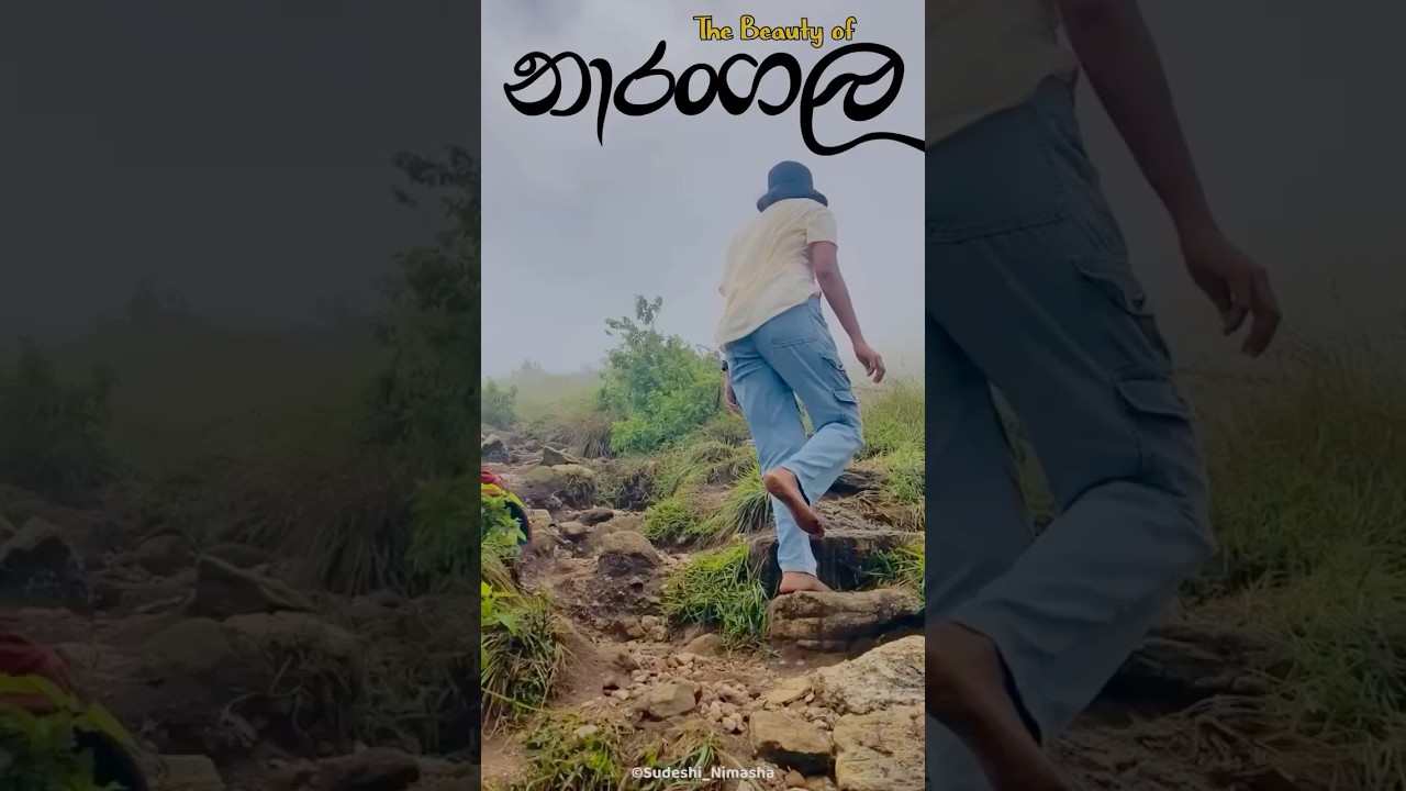 Mist🌫+Green🌿=Peace💆‍♀️