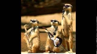 Aneno Makne-Awino Lawi