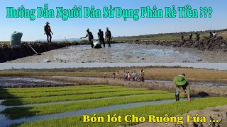 Thế Nhân || Lần Đầu Tiên Bác Trưởng Thôn Trải Nghiệm Quá Trình Bón Lót Cho Ruộng Để Chuẩn Bị Cấy Lúa