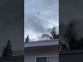 Granada Hills, LOs Angeles , California , USA