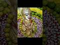 Happy Bonalu Krishnan W9j 20 7 2025 Happy Bonalu Krishnan W9j 20 7 2025