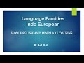 Indo European Languages: the Descent of English