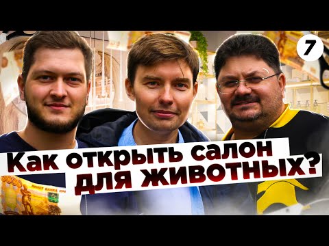 Как открыть салон для животных с нуля. Груминг салон. Бизнес с нуля