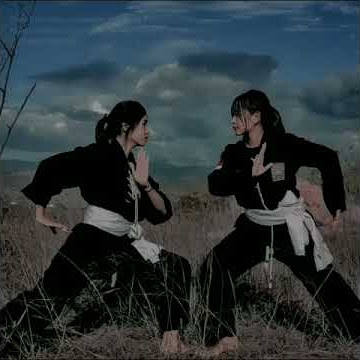 Story wa PSHT (SRIKANDI)#psht #shorts #viral #psht1922  ##story #terkini  #terbaru #srikandipsht