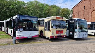 Zeitreise im Hanover Strassenbahnmuseum: Erkunde die faszinierenden Oldtimer-Busse 14.05.23