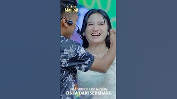 INTAN AFIFAH FT FARIZ KENDANG - CINTA DARI SEBERANG sudah tayang Ytc MAHESA Official #mahesamusic