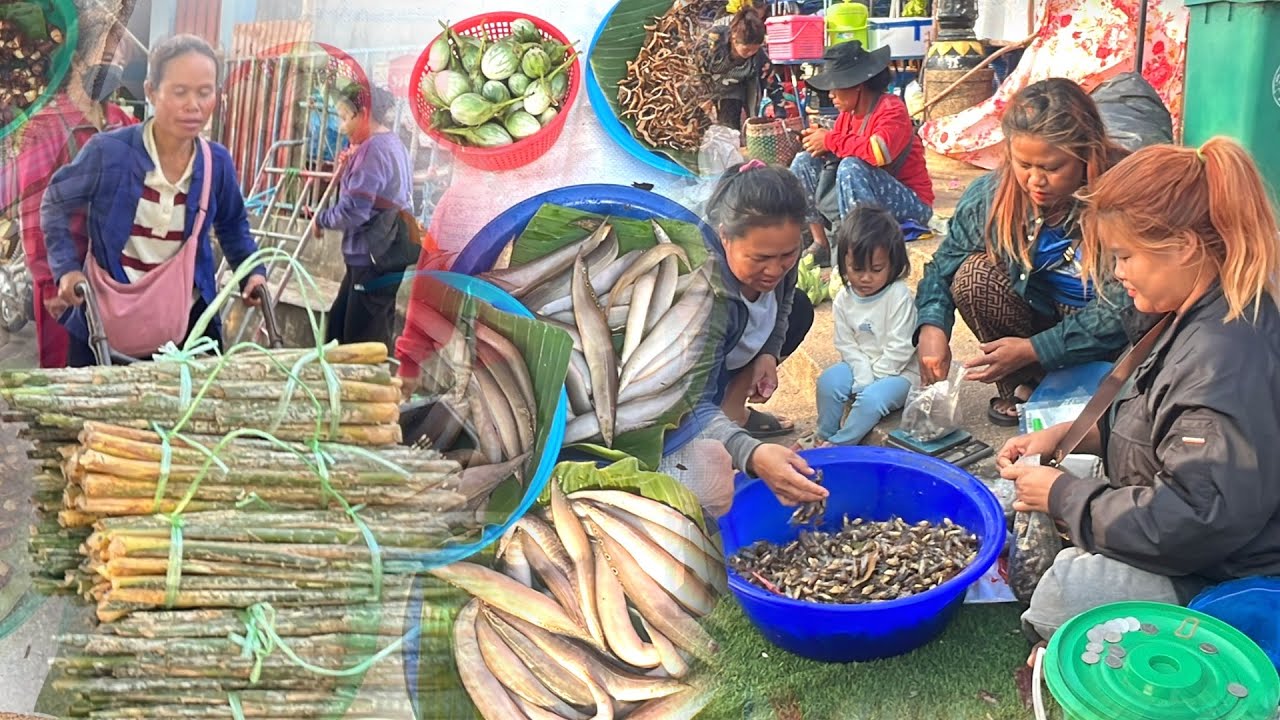 เที่ยวตลาดนัดไทย-ลาว อ.ธาตุพนม จ.นครพนม หวายอ่อนๆ ปลาลด #อาหารอีสาน #food 