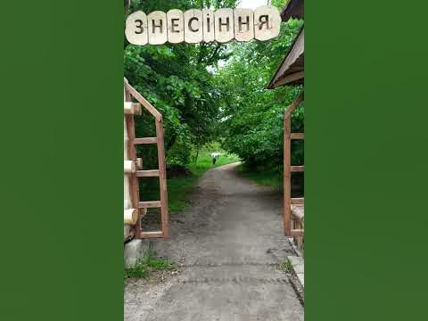 Львів 2023: парк Знесіння #Львів #Lwów #Lviv #لفيف #ЛьвівДепо - YouTube