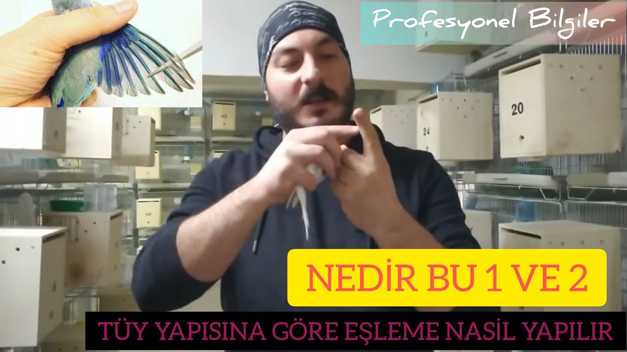 Eşleme Yaparken Dikkat Edilmesi Gerekenler l Nedir Bu 1 ve 2 l Sadece Dostlar İzlesin😏