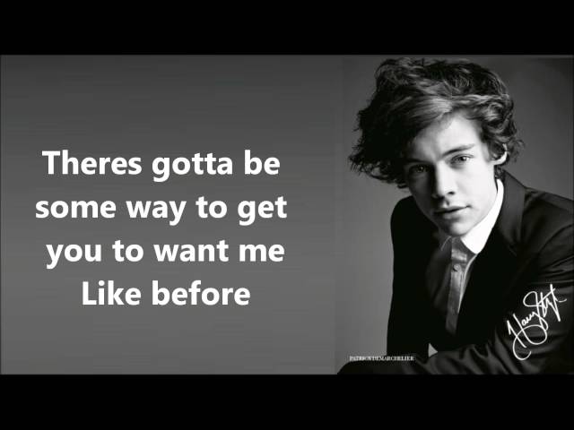 One Direction  Nobody Compares lyrics and pictures class=
