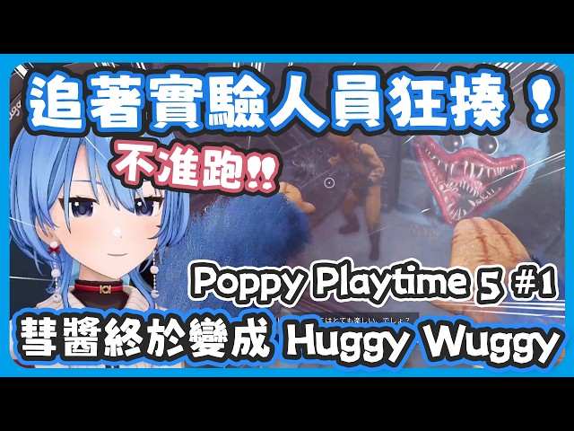 彗醬終於被洗腦變成Huggy Wuggy 本人、還長出毛茸茸的手手、還追著實驗人員狂揍報仇 !【星街すいせい/星街彗星 】