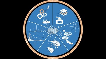 MiPAq (5/5) - Automated Analysis of Microplastic Particles by Raman Microspectroscopy
