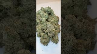 Alien Mints Cannabis strain review