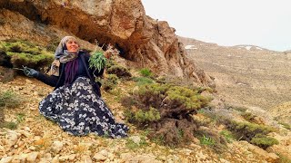 The Story of Motherhood and Wild Plants: Gathering Edible Plants