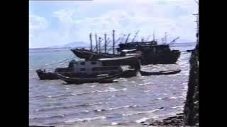 1993福健,廈門,翔安区,劉五店, Xindian Town, Xiang'an District, Xiamen, Fujian