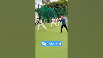 Drills for square cut shot #shorts #youtubeshorts #cricketcoaching