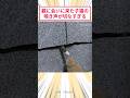 親に会いに来た子猫の鳴き声が切なすぎる #2ch動物スレ #猫動画 #猫のいる暮らし