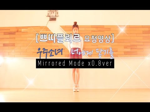 [쁘띠플뢰르요청영상] 0.8배속 우주소녀 너에게 닿기를 안무 거울모드