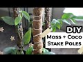 DIY Moss Pole & Coco Coir Pole | Self-Watering