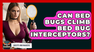 Can Bed Bugs Climb Bed Bug Interceptors? - Insects and Invaders