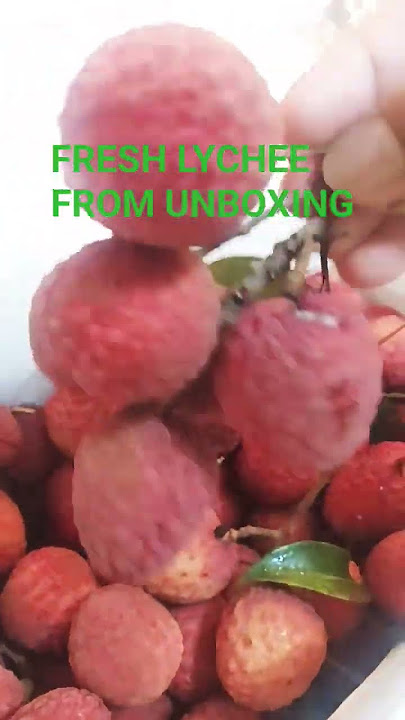 FRESH LYCHEE FROM UNBOXING
