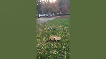 [Running script on mission planner] landing with PI controller 2