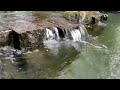 30 Minutes Gentle water stream | Calming Sounds For Sleep & Focus | No Ads