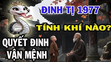 Tính Khí Sẽ Quyết Định ĐẾN SỐ PHẬN ĐINH TỊ 1977  NHƯ THẾ NÀO ?