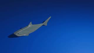 tutorial cara membuat ikan hiu sederhana diaplikasi blender screenshot 3