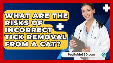 What Are The Risks Of Incorrect Tick Removal From A Cat? - PetGuide360.com
