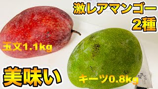 食べ頃マンゴー　玉文とキーツ　クール便 mqdefault.jpg
